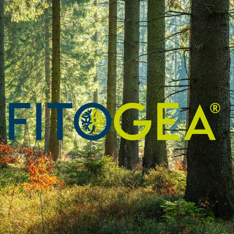FitoGea