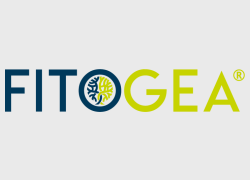 Logo fitogea